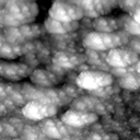m16736_ori