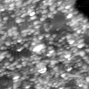 m16748_ori