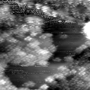 m16753_ori
