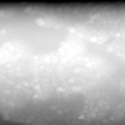 m16761_ori
