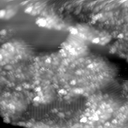 m16761_ori