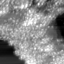 m16767_ori