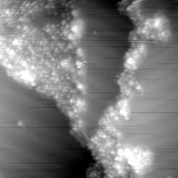 m16771_ori