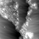 m16771_ori