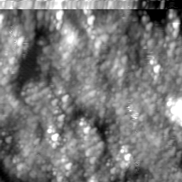 m16774_ori