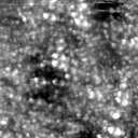 m16778_ori