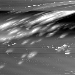 m17173_ori