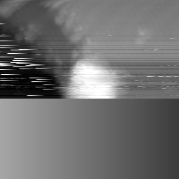 m17174_ori