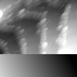 m17181_ori