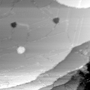 m1796_ori
