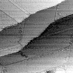 m1799_ori