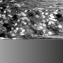 m20112_ori
