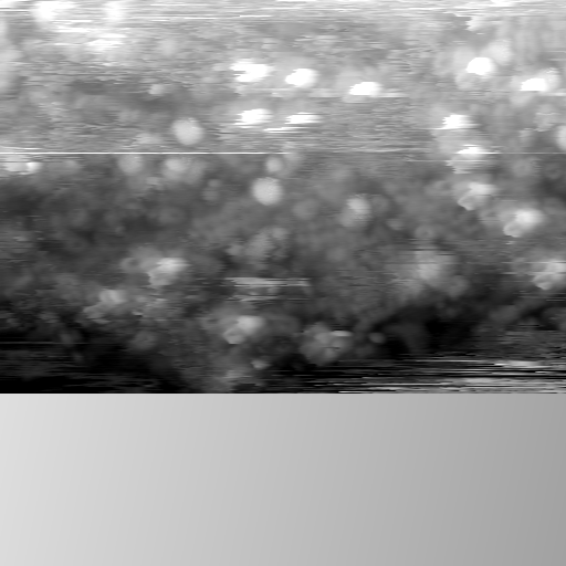 m20113_ori