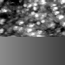 m20114_ori