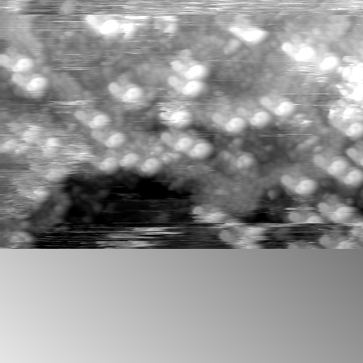 m20116_ori