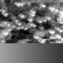 m20116_ori