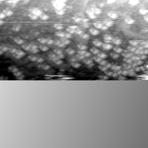 m20117_ori