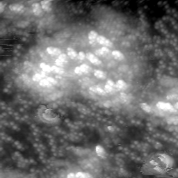 m20616_ori