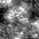 m20616_ori