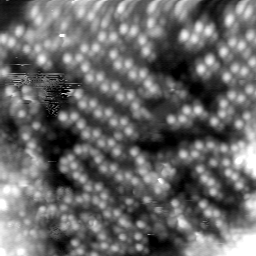 m20617_ori