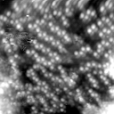 m20617_ori