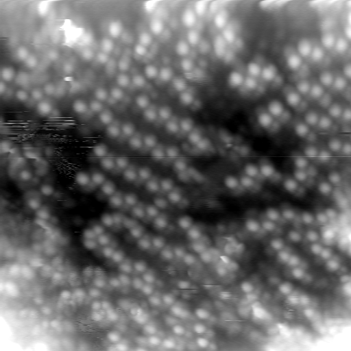 m20618_ori
