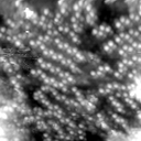 m20618_ori