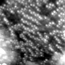 m20621_ori