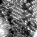 m20624_ori