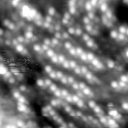 m20626_ori