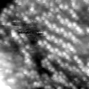 m20629_ori