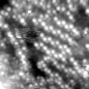 m20633_ori