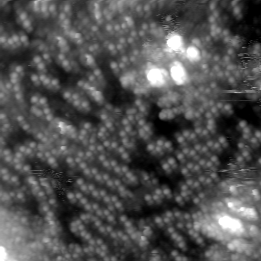 m20634_ori