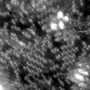 m20634_ori