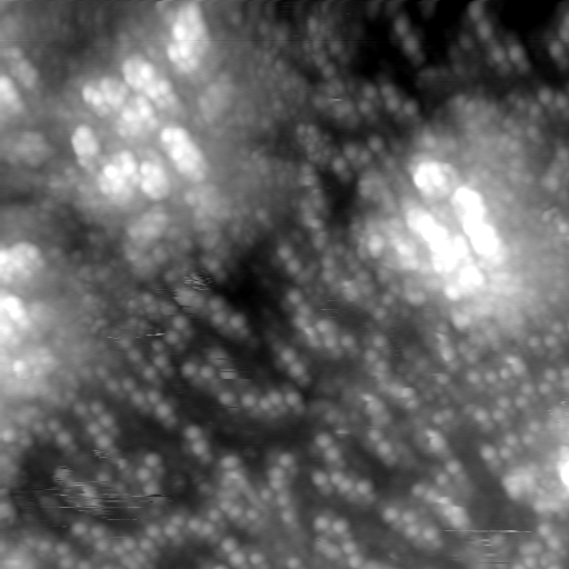 m20635_ori