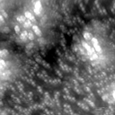 m20635_ori