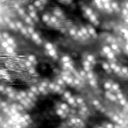 m20636_ori