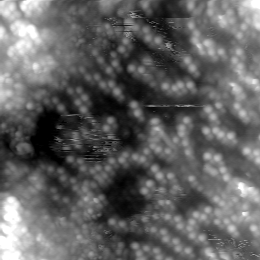 m20637_ori