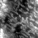 m20637_ori