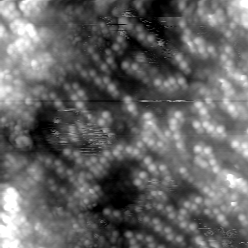 m20637_ori