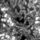 m20641_ori