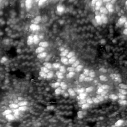 m20643_ori
