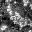 m20643_ori