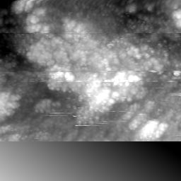 m20645_ori