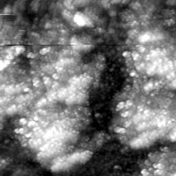 m20646_ori