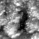 m20646_ori