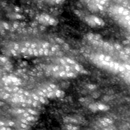 m20647_ori