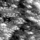 m20647_ori