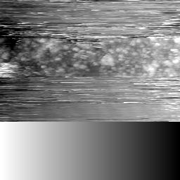 m20858_ori