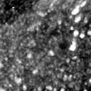m21263_ori